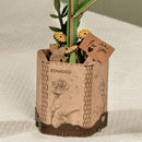 Robotime Sunflower / Zonnebloem TW011