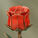 Robotime Red Rose / Rode Roos TW042