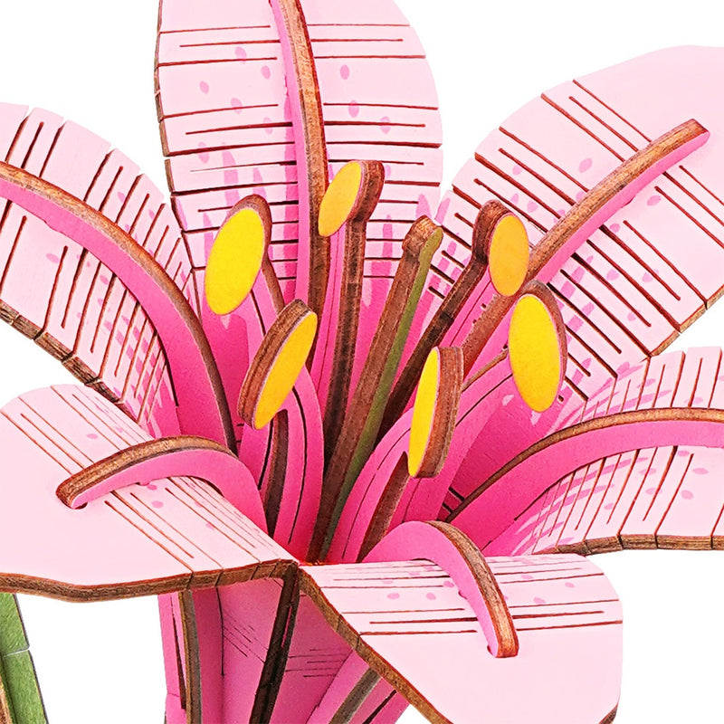Robotime Pink Lily / Roze Lelie TW071