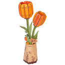 Robotime Orange Tulip / Oranje Tulp TW081