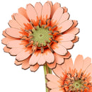 Close-up van twee bloemen van de Robotime Light Orange Gerbera