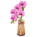 Productfoto van de Robotime Purple Moth Orchid, houten bouwpakket van een paarse orchidee